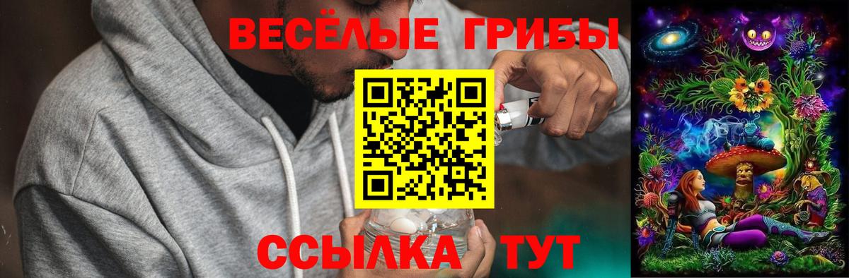 Псилоцибиновые грибы Psilocybine cubensis  Галлюциногенные грибы MAGIC MUSHROOMS  Вход с VPN  Уссурийск 